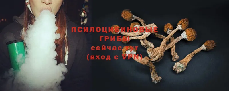 Псилоцибиновые грибы Magic Shrooms  OMG ссылки  Николаевск 